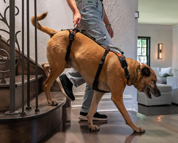 夏セール開催中 MAX80%OFF！ HELP 犬用介護用品専門 - フルサポートハーネス HARNESS: UP 'EM 首輪・ハーネス・リード