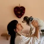ハナ❤老犬介護の生活
