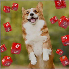 SALE!!