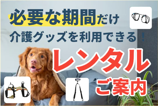 レンタルご案内
