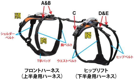 画像をクリック（タップ）すると拡大します