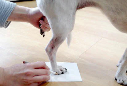 ３の状態(左右両端を鉛筆などで印をつける)