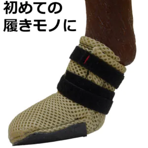 夏用マックスソックス(アウトドア・インドア兼用,2枚組)