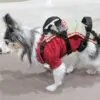 マックス介護ハーネス（犬猫兼用）