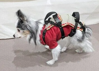 マックス介護ハーネス（犬猫兼用）