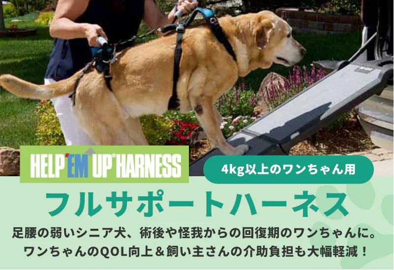 犬用介護ハーネス　フルサポートハーネス