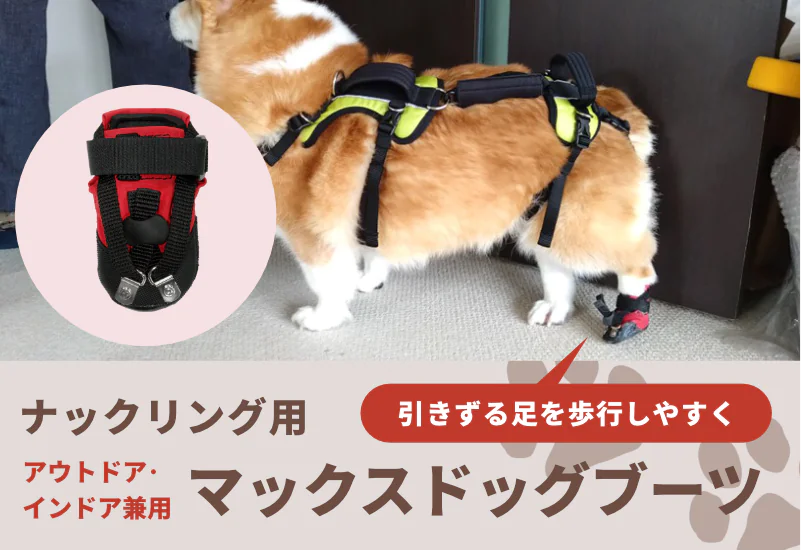 犬・猫用靴＆ソックス　夏用マックスソックス