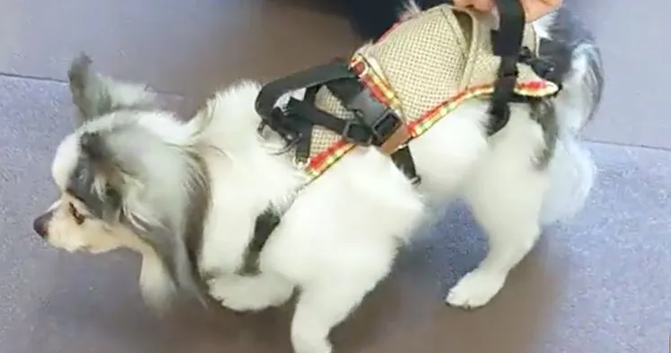 お客様声