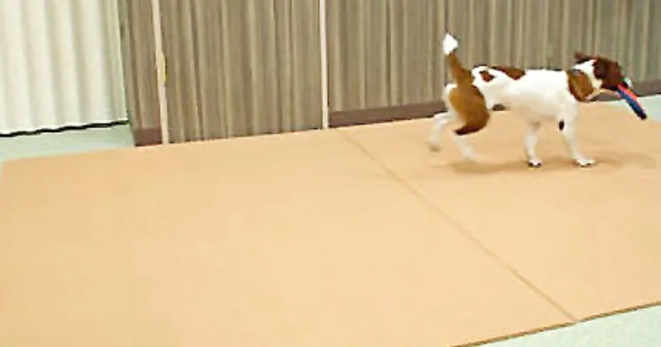 お客様声