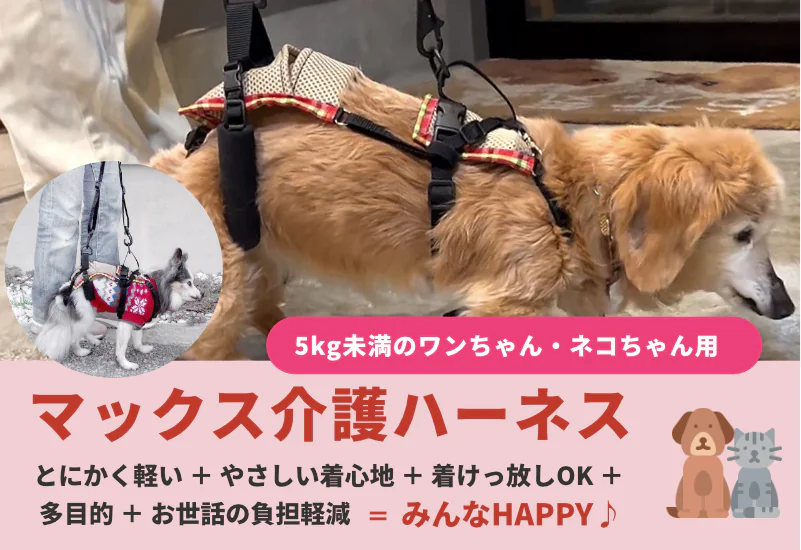 犬用靴＆ソックス　ナックリング用 マックスドッグブーツ